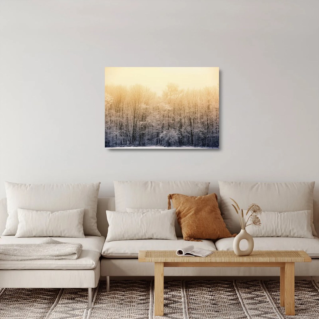Obraz na szkle mroźnego lasu (70x50 cm)