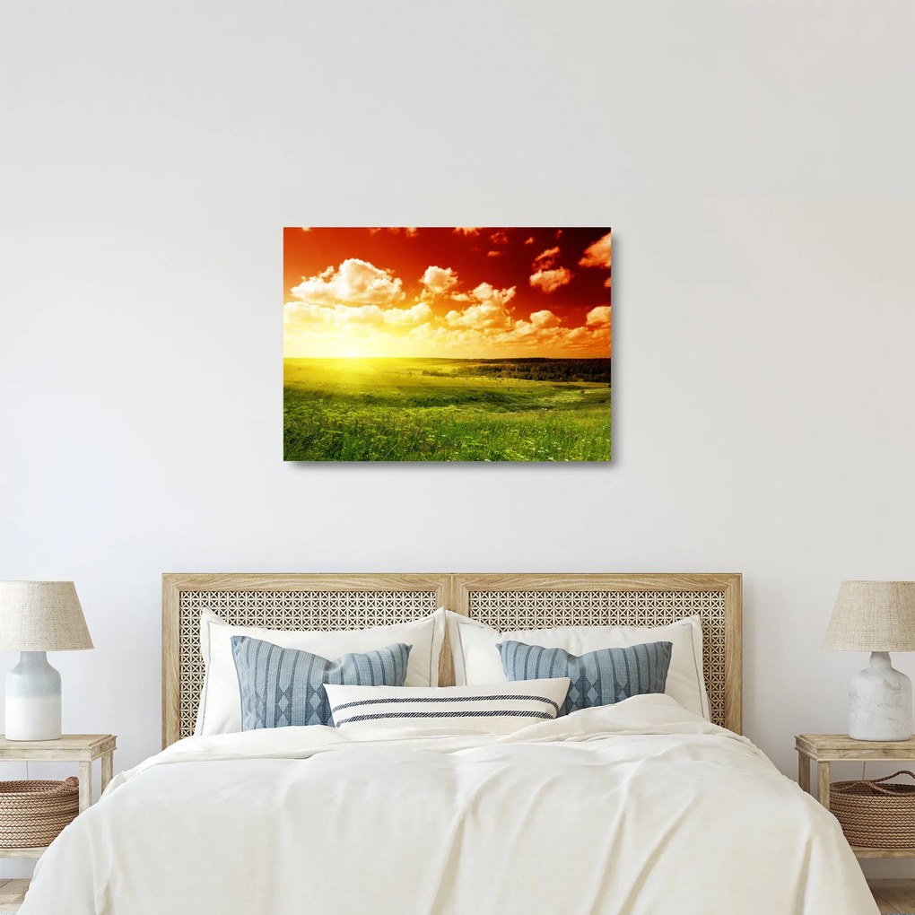 Obraz na szkle łąki ze świecącym słońcem (70x50 cm)