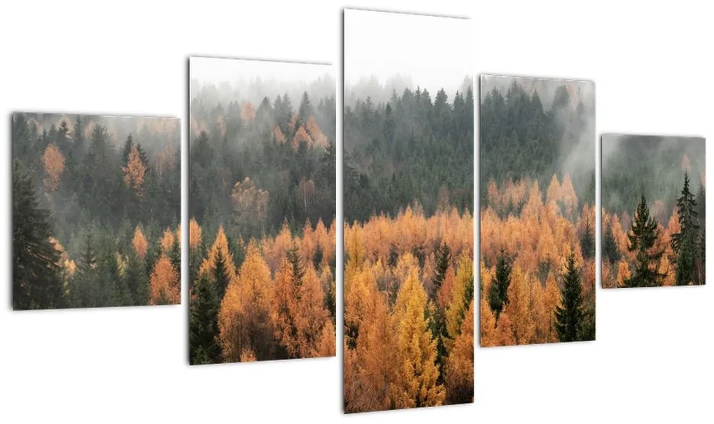 Obraz - Jesienny las (125x70 cm)