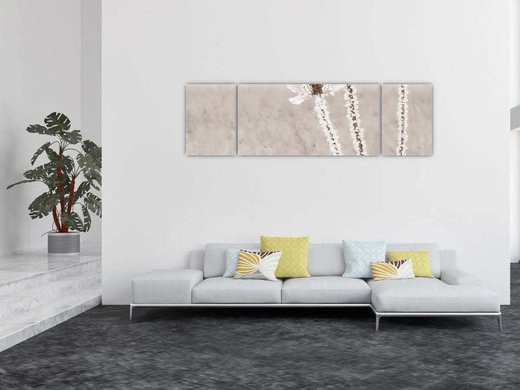 Obraz - Oset w zimie (170x50 cm)