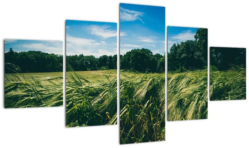 Obraz łąki i lasu (125x70 cm)