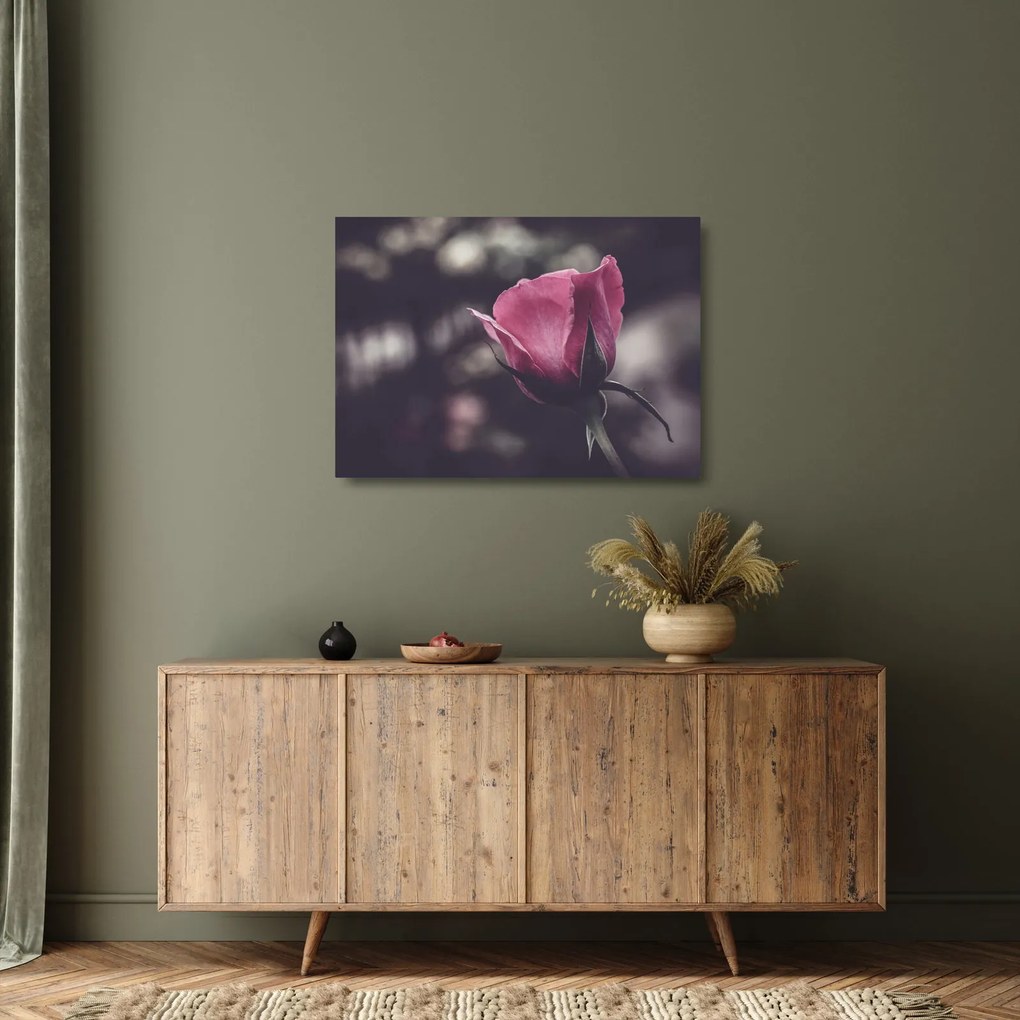 Obraz na szkle - Detal kwiatu róży (70x50 cm)