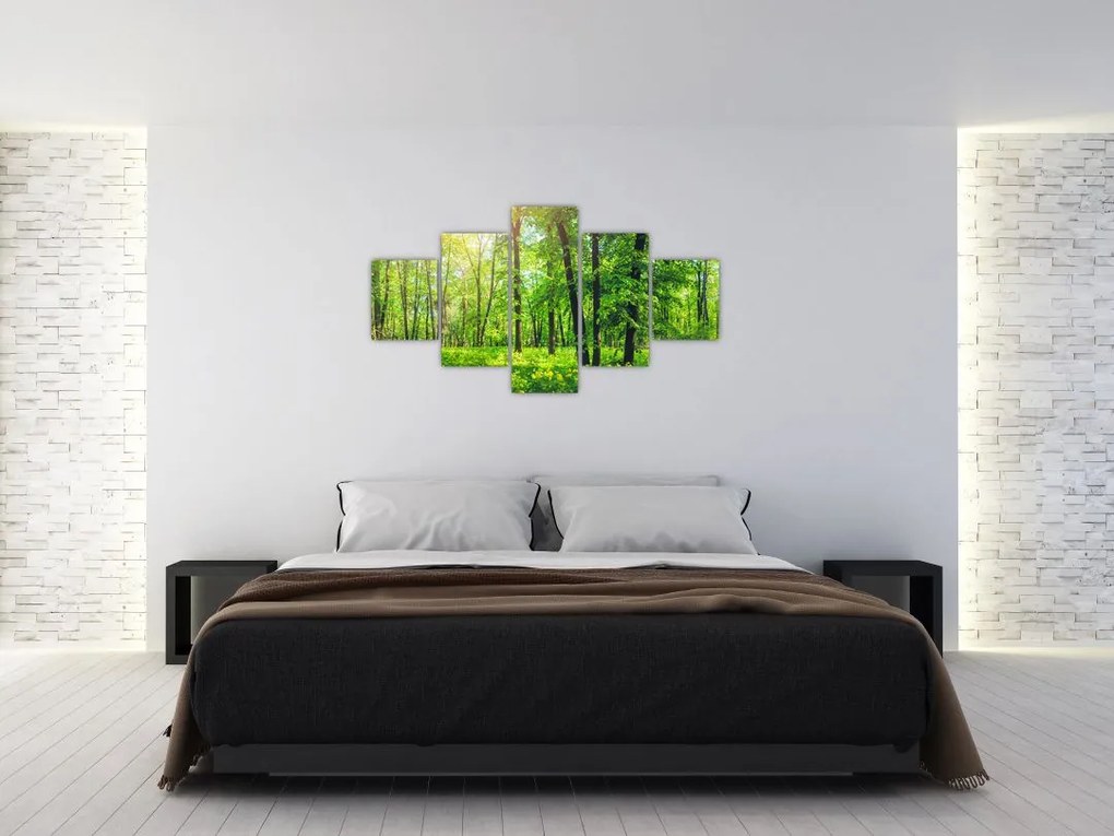 Obraz - Wiosenny las liściasty (125x70 cm)