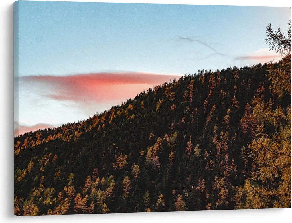 Obraz rudzików nad wzgórzem (70x50 cm)