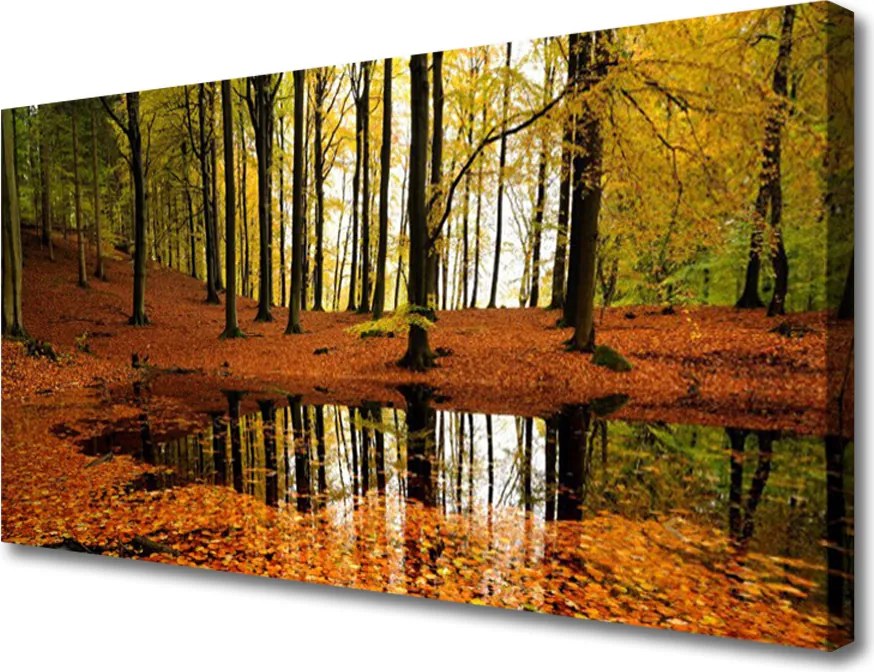 Obraz na płótnie Głęboka Zieleń Lasu