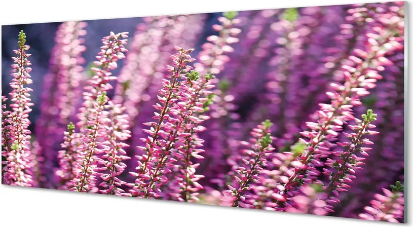 Szkło do Kuchni na Ścianę Delikatne Polne Kwiaty