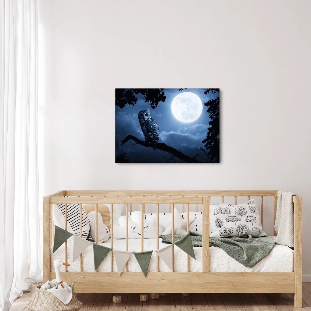 Obraz - Nocna Sowa (70x50 cm)