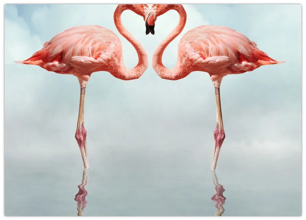 Obraz dwóch flamingów (70x50 cm)