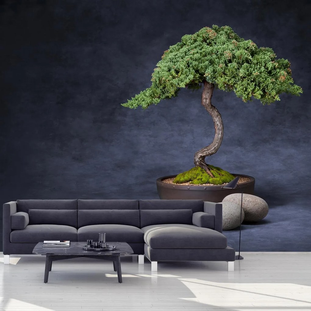 Fototapeta - Bonsai (196x136 cm)