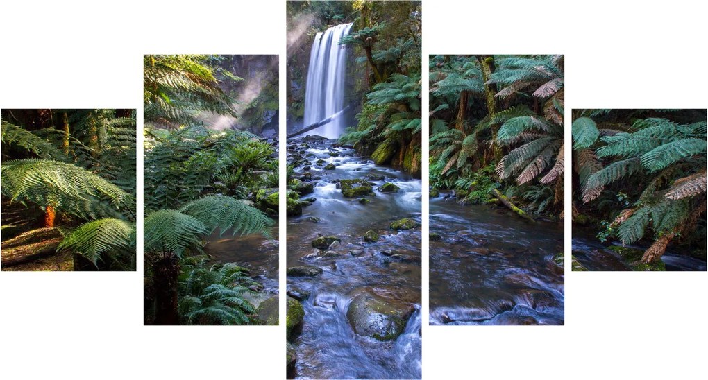Obraz australijskiego lasu deszczowego (125x70 cm)