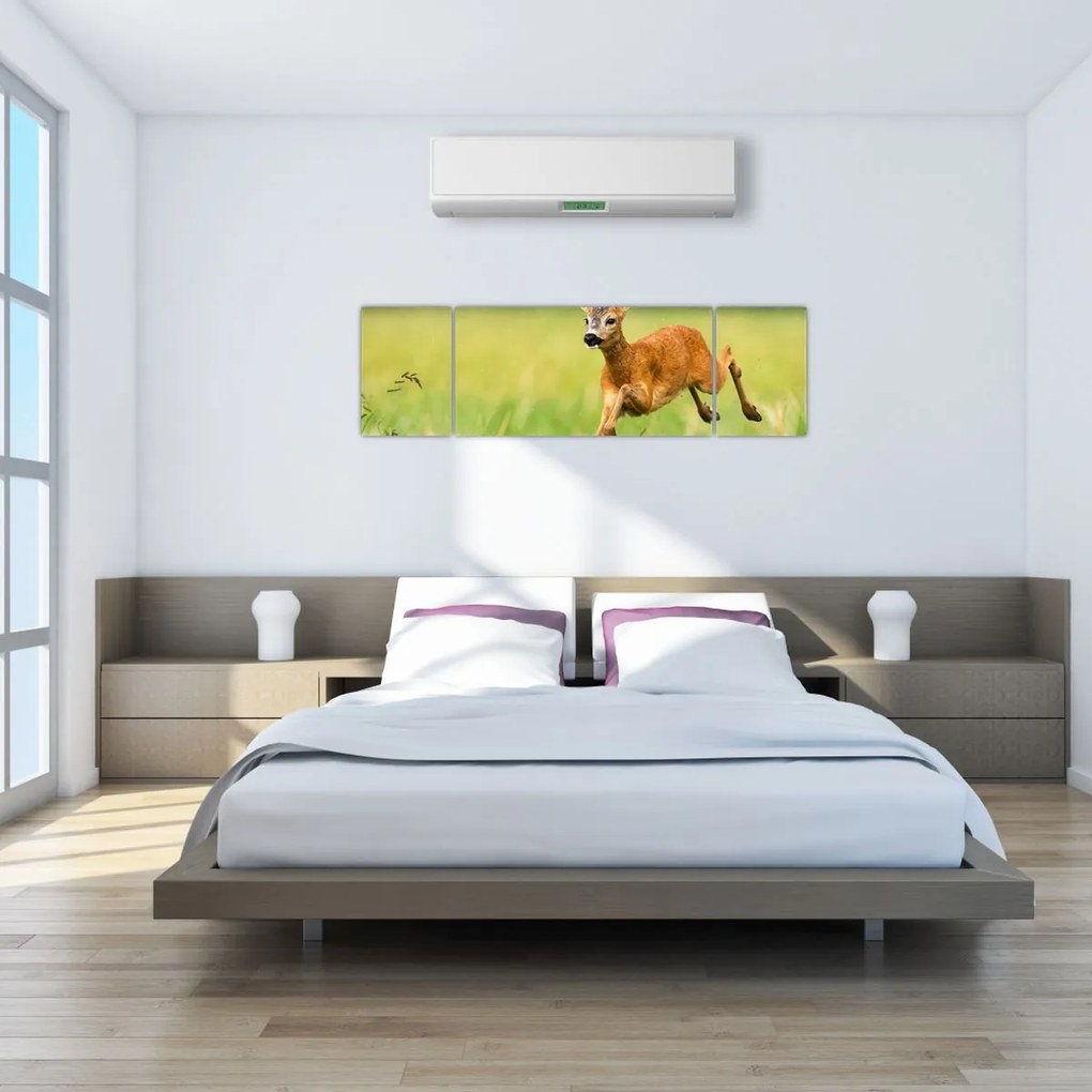 Obraz - Sarna (170x50 cm)