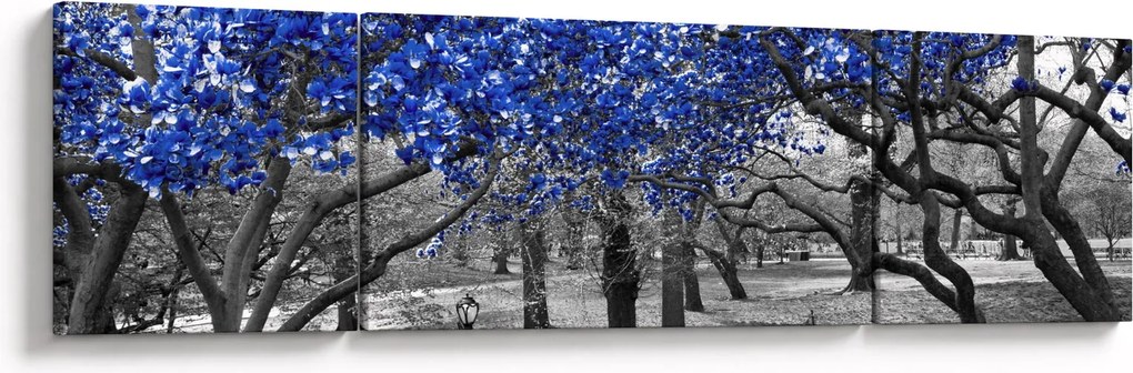 Obraz - Niebieskie drzewa, Central Park, New York (170x50 cm)