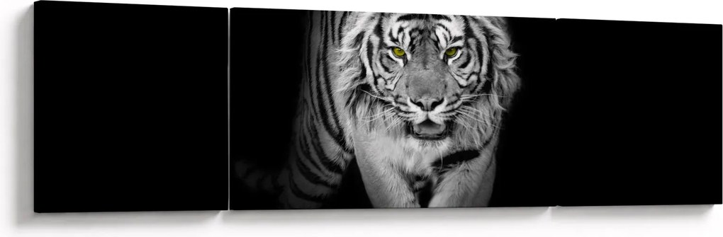 Obraz - Tygrys z żółtymi oczami (170x50 cm)