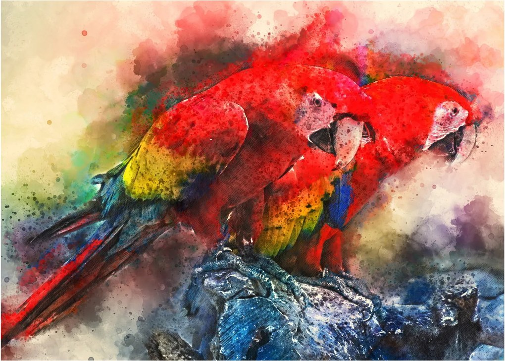 Obraz czerwonych papug Ara (70x50 cm)