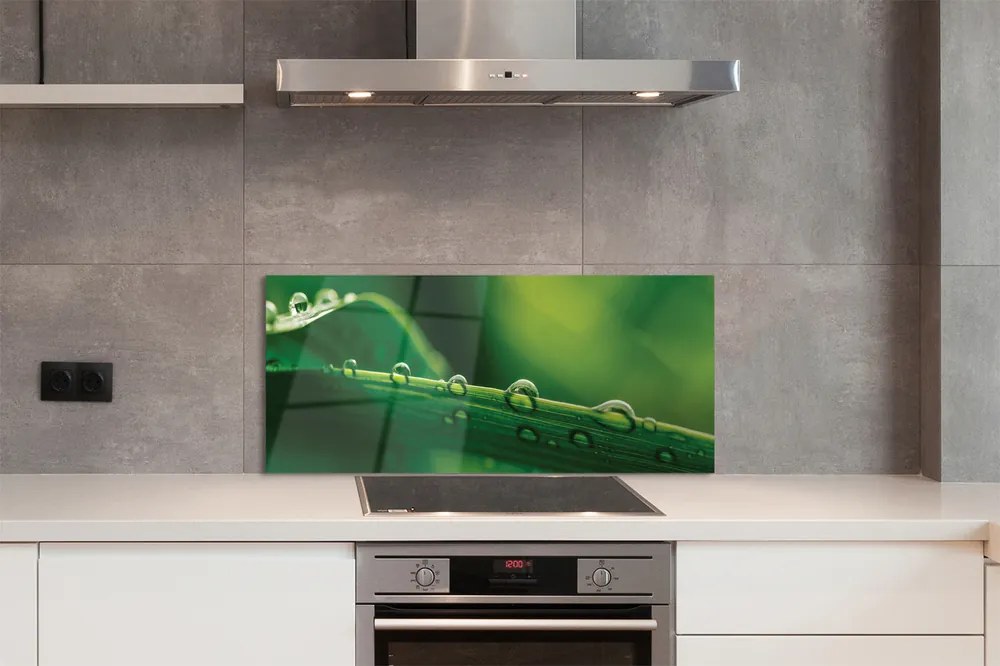 Panel szklany do Kuchni Źdźbło Trawy z Kroplą Rosy