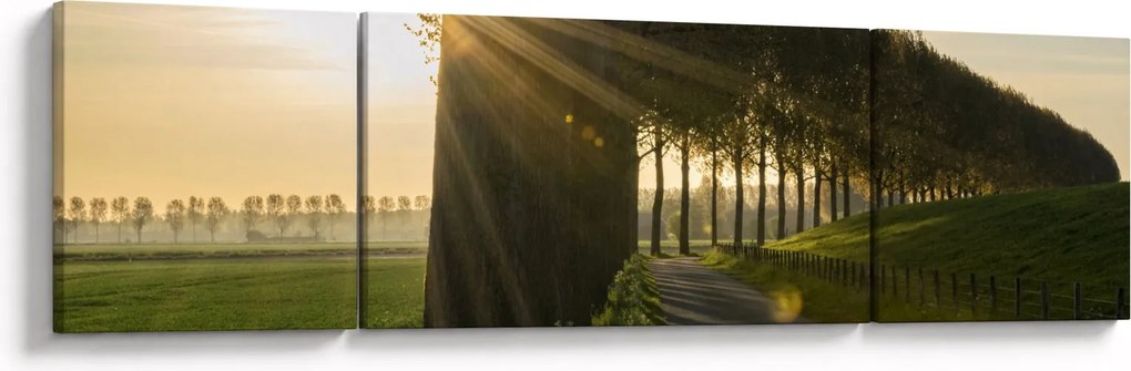 Obraz alei (170x50 cm)