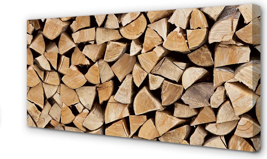 Duży obraz na płótnie Składowisko Drewna Opałowego