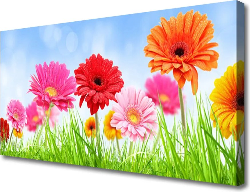 Obraz na płótnie Kwiaty wśród Polnej Trawy