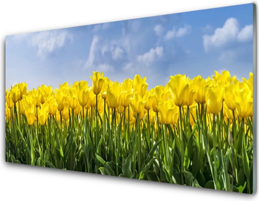 Panel Szklany Tęczowe Pole Tulipanów