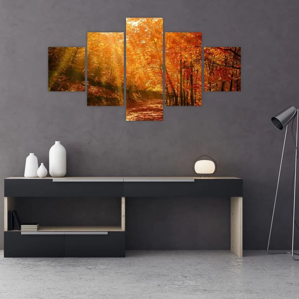 Obraz jesiennego lasu (125x70 cm)