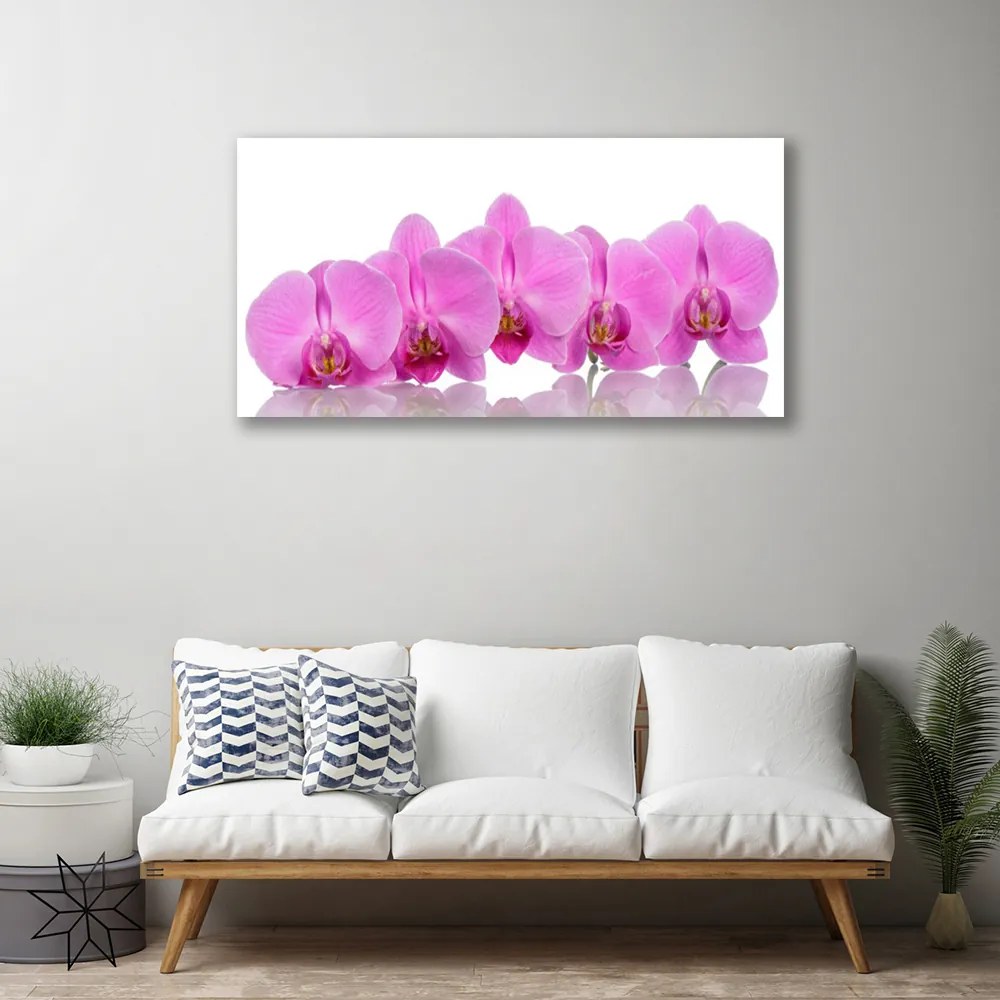 Obraz canvas Różowa Orchidea w Zbliżeniu