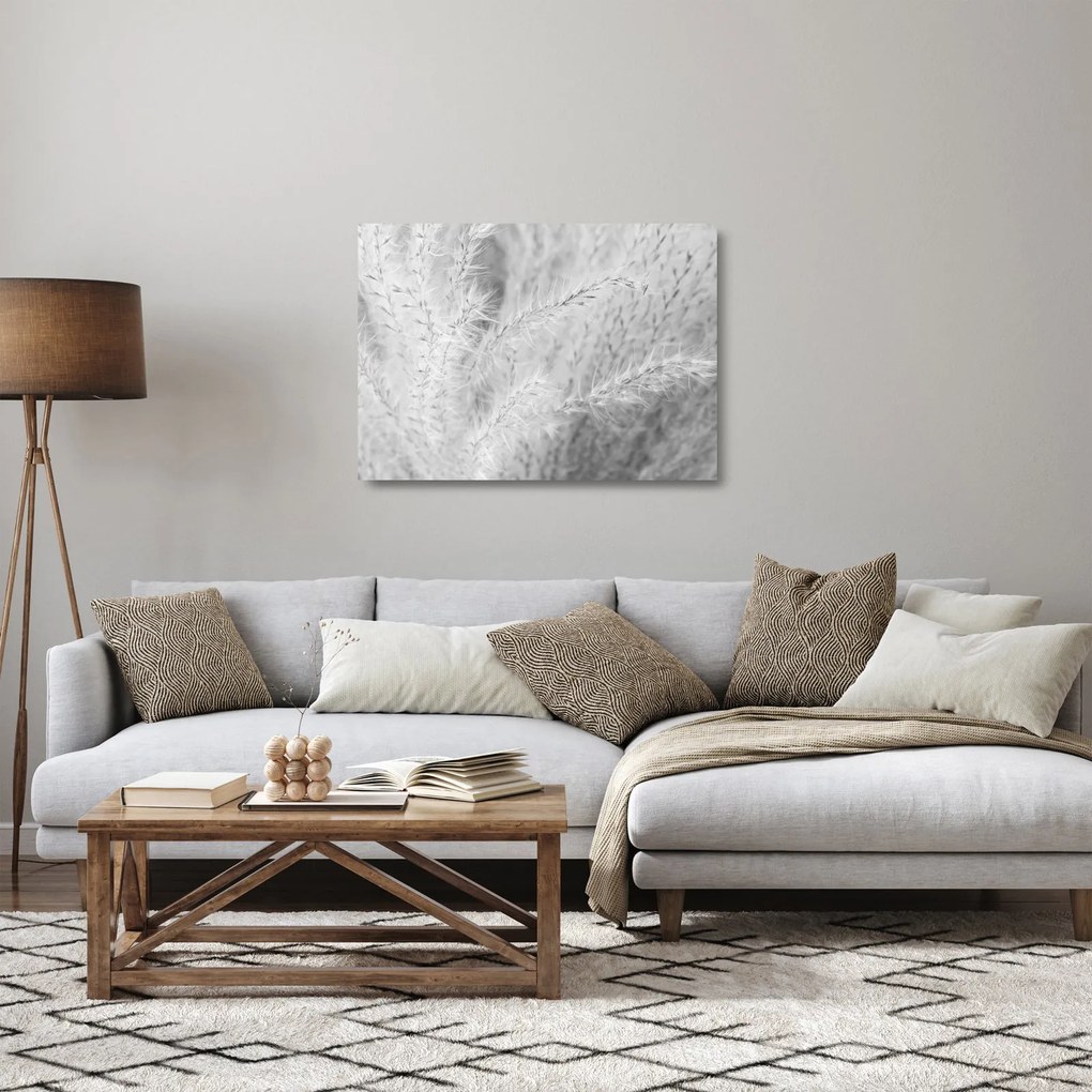 Obraz na szkle - Trawa pampasowa N⁰1 (70x50 cm)