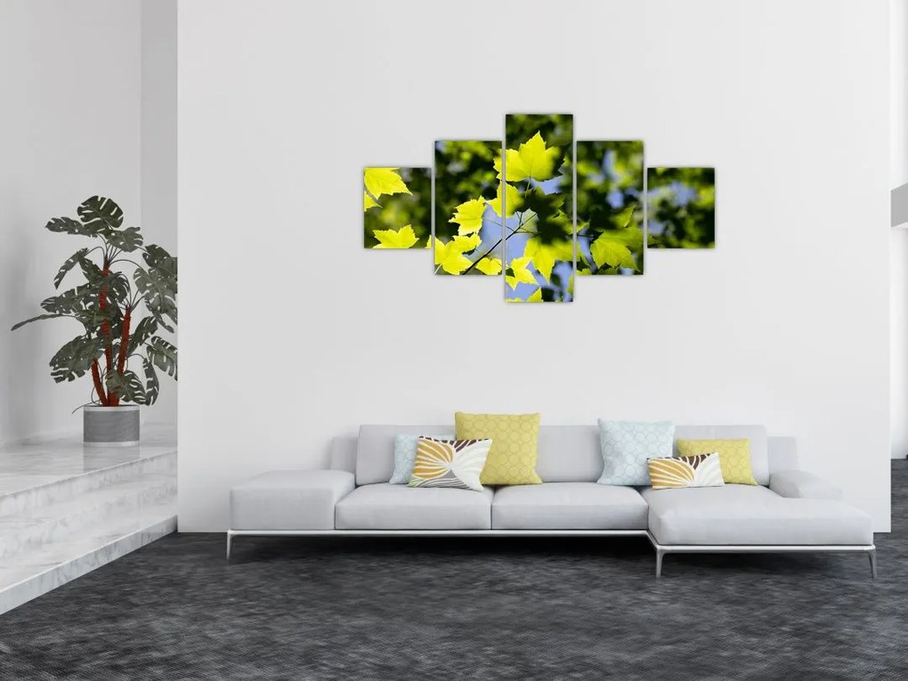 Obraz - liście klonu (125x70 cm)