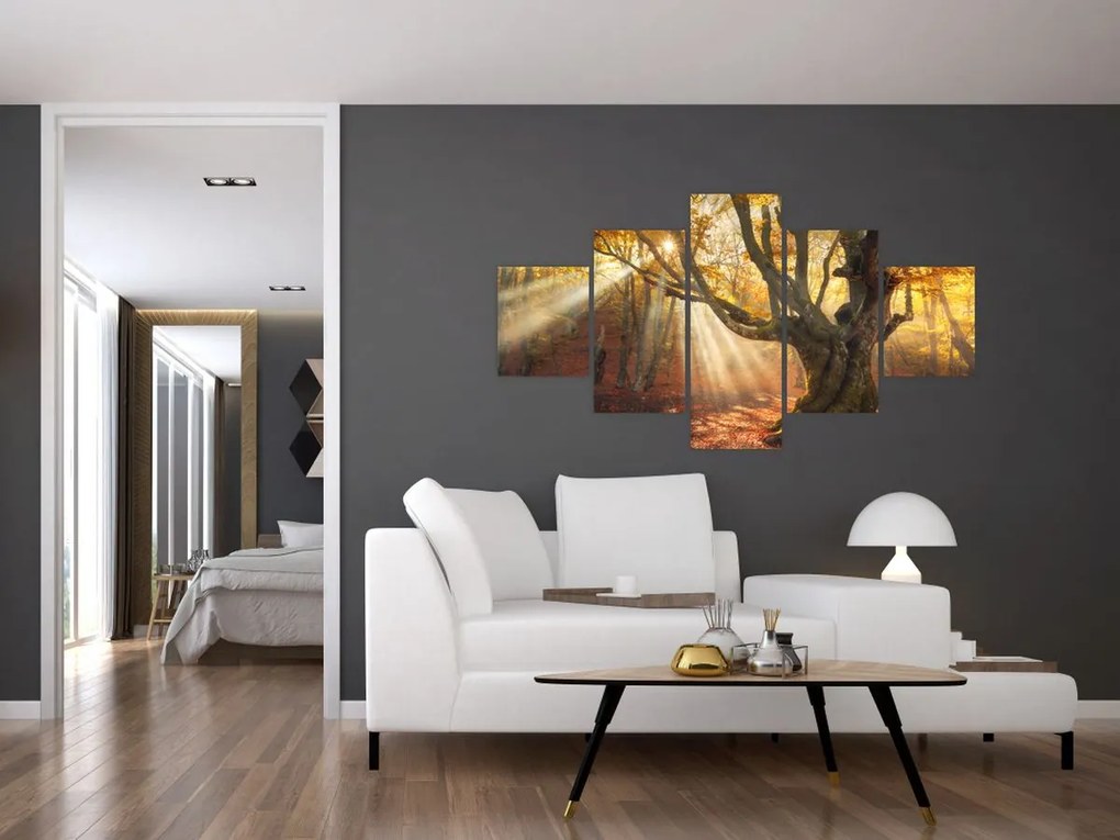Obraz - Jesienny świt (125x70 cm)