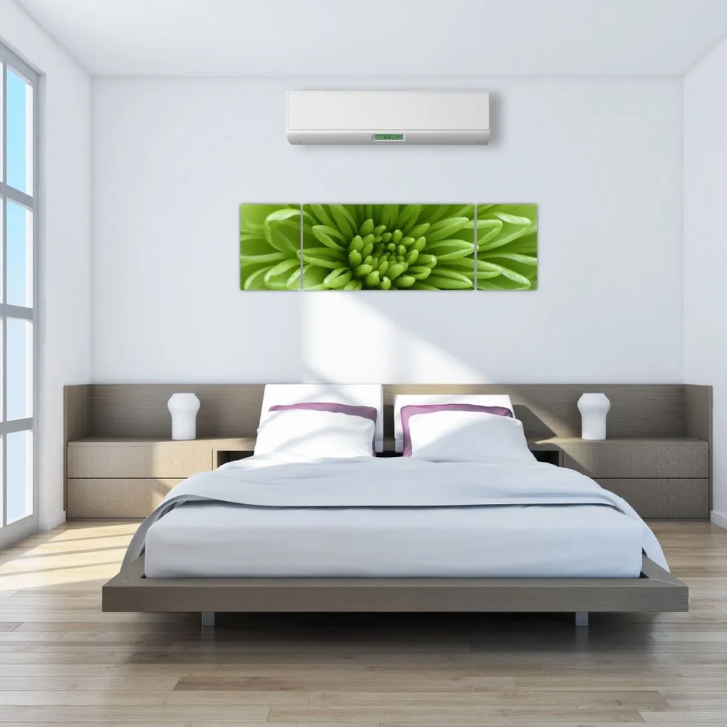 Obraz - Obraz rośliny w trybie makro (170x50 cm)