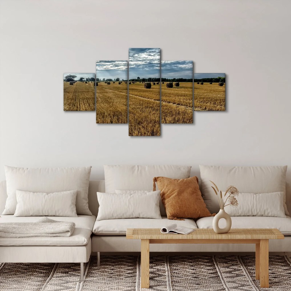 Obraz zebranego pola zboża (125x70 cm)