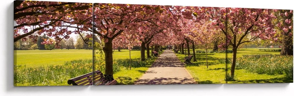 Obraz - sad czereśniowy (170x50 cm)