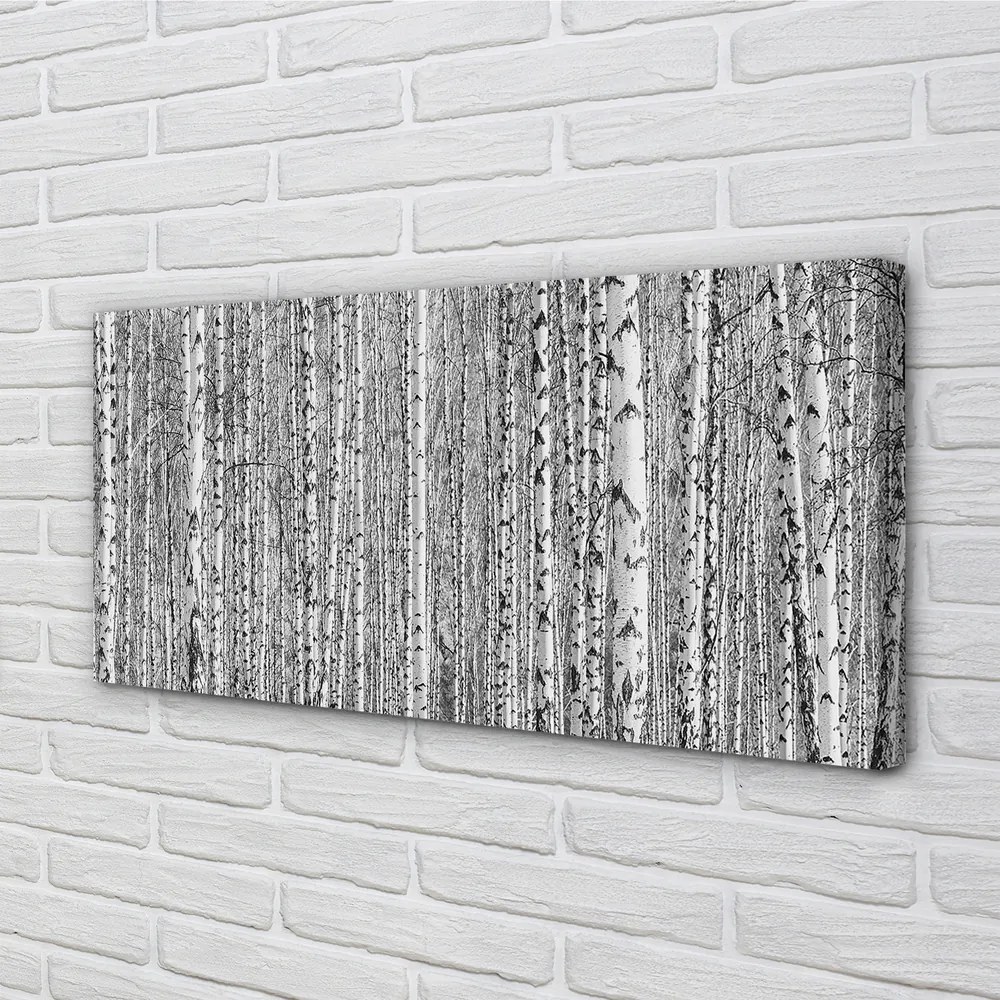 Obraz na płótnie Czarno-Biały Las