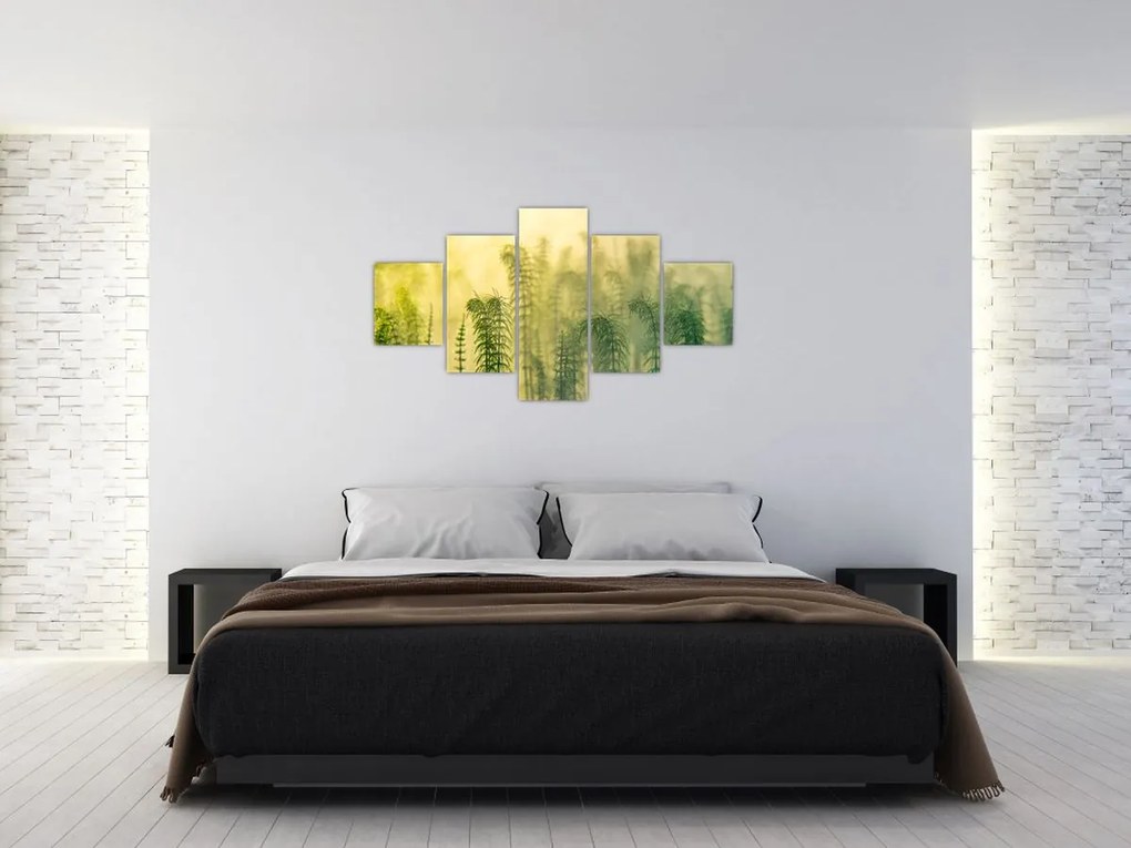 Obraz - Szczegół wiosennej mglistej przyrody (125x70 cm)