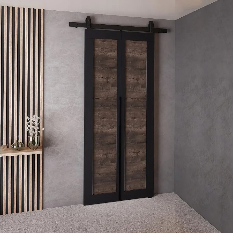 Drzwi Przesuwne QUDIO M1 Czarny + Jesion Ciemny 70