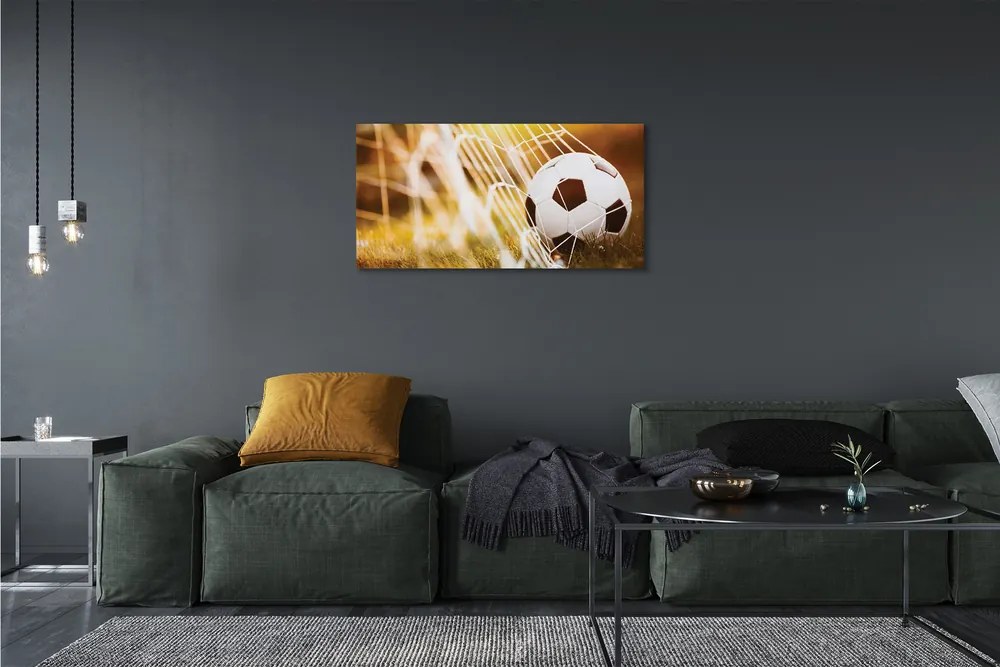 Obraz na płótnie Kontrastowy Futbol Na Murawie