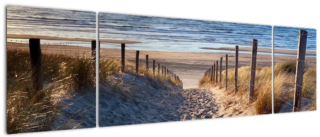 Obraz - Droga na plażę Morza Północnego, Holandia (170x50 cm)