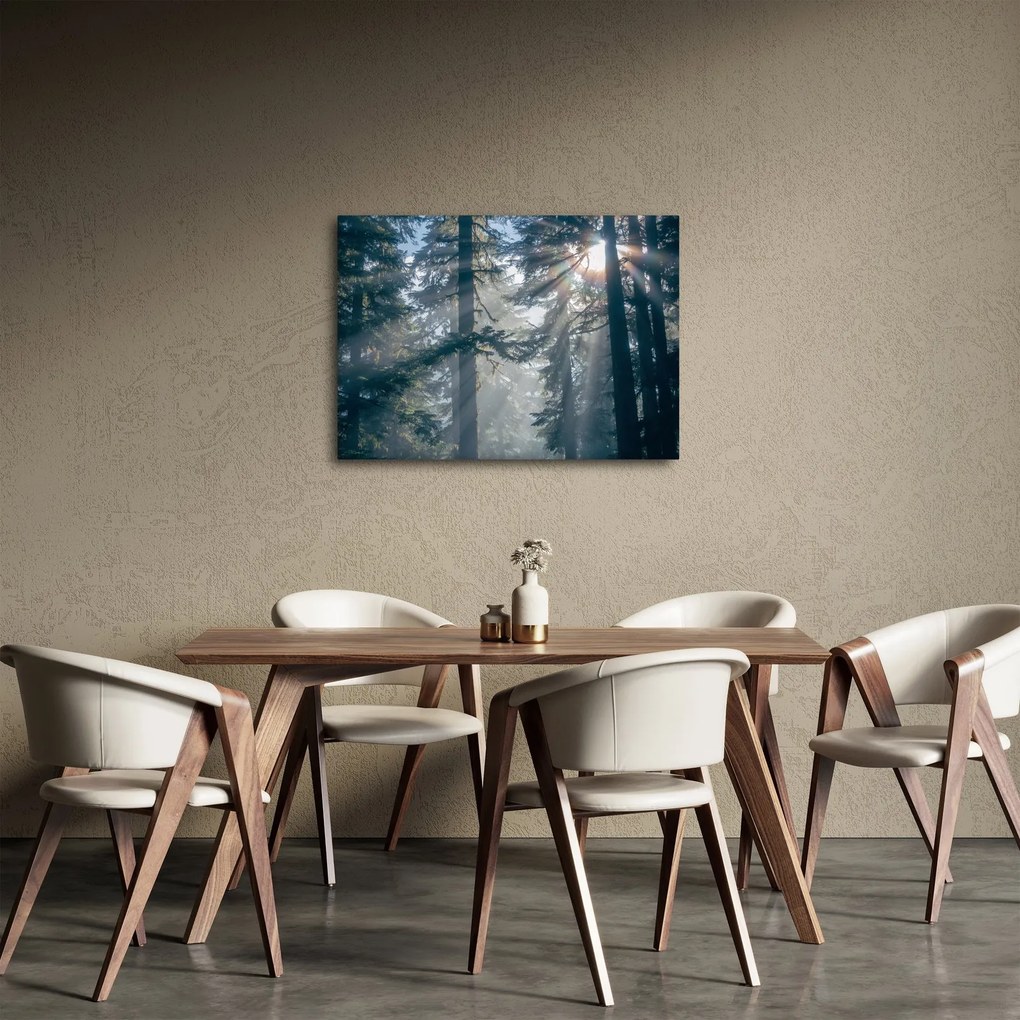 Obraz drzew, przez które prześwieca słońce (70x50 cm)