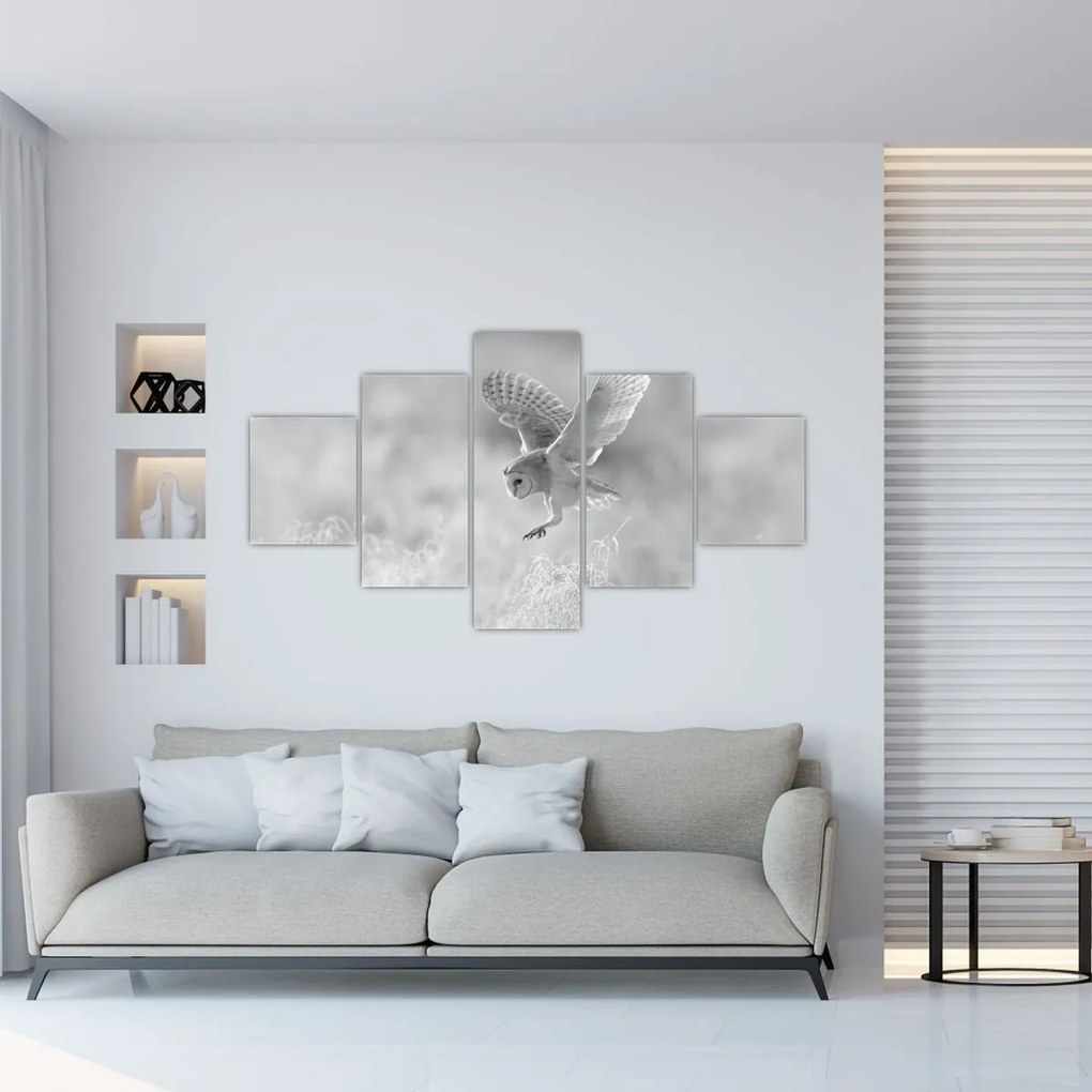 Obraz - Sowa na polu (125x70 cm)