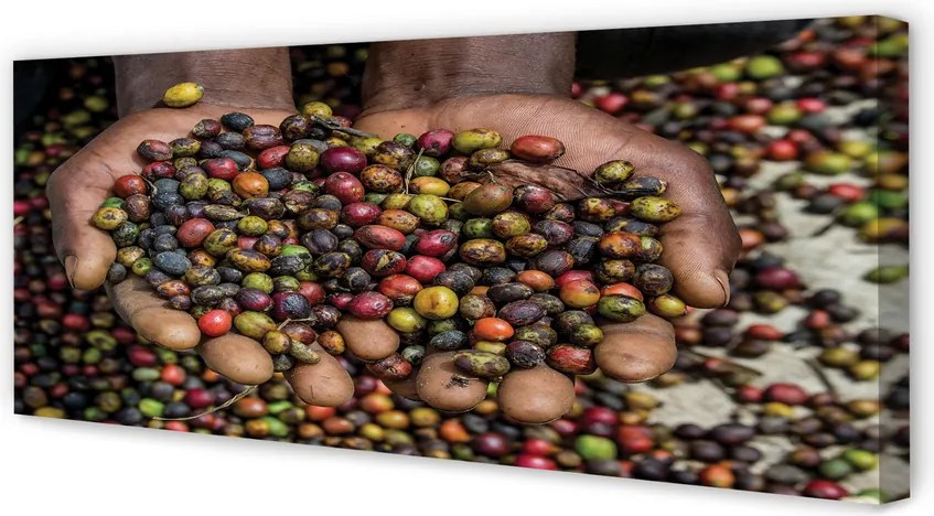 Zdjęcie na płótnie Przyprawy Świata