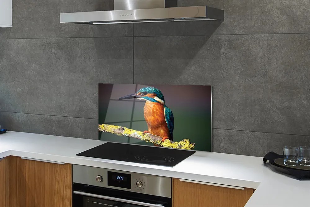 Panel szklany do Kuchni Mały Egzotyczny Ptak