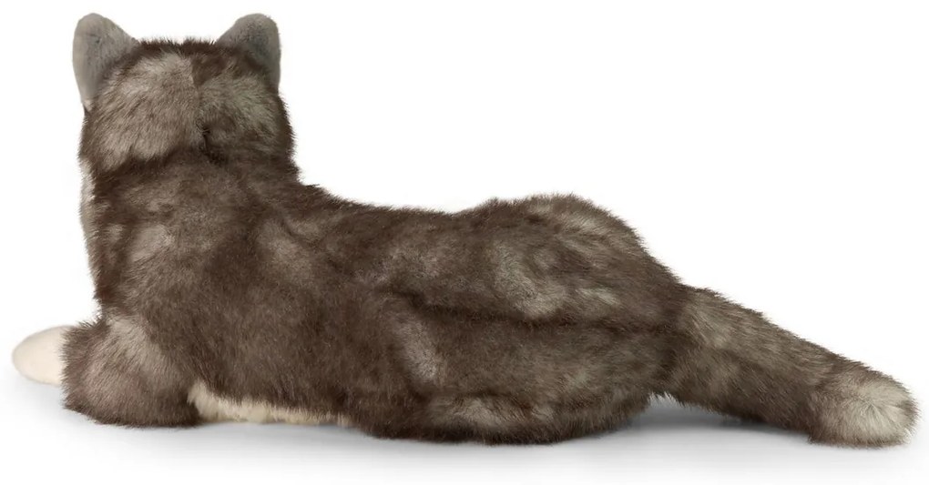 Rappa Pluszowy pies husky leżący 60 cm