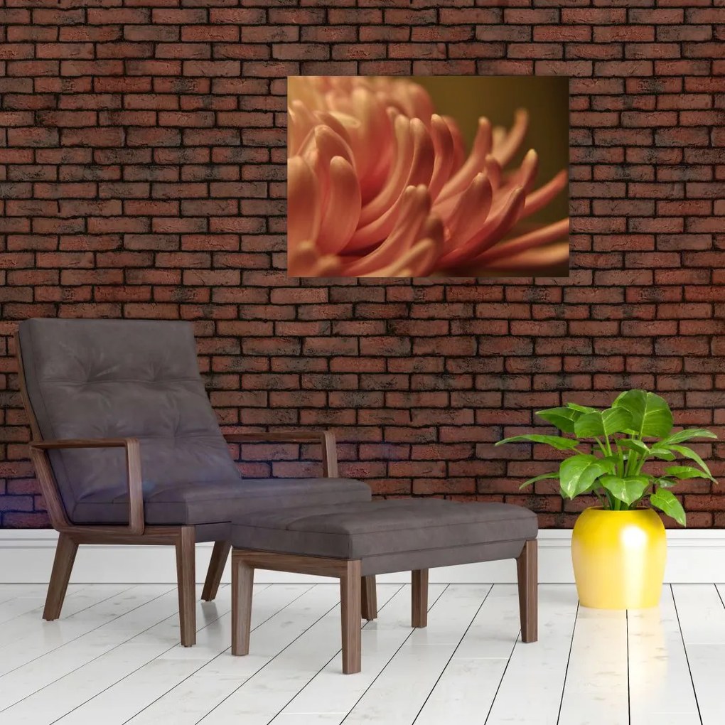 Obraz na szkle szczegółów kwiatu (70x50 cm)