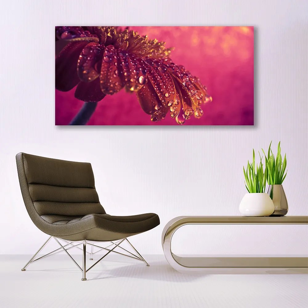 Zdjęcie na płótnie Majestatyczne Drzewo w Polu