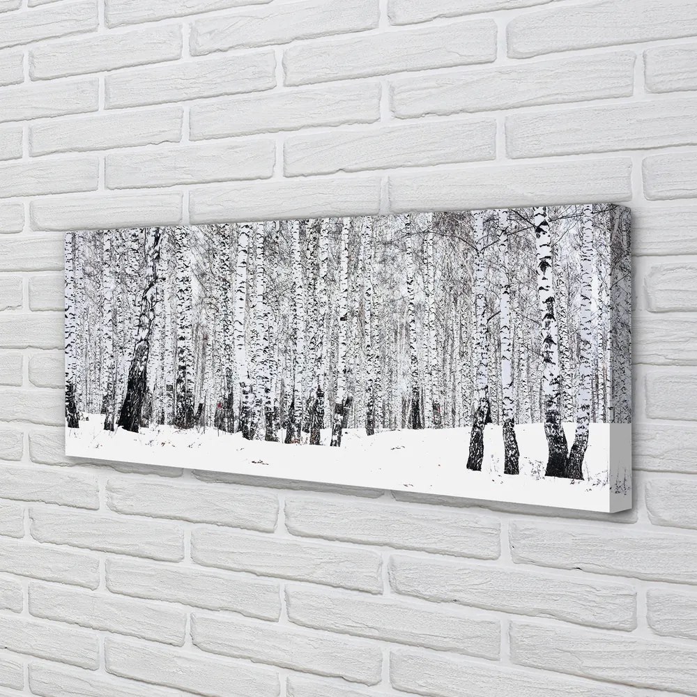 Fotoobraz na płótnie Zimowy Krajobraz z Brzozami