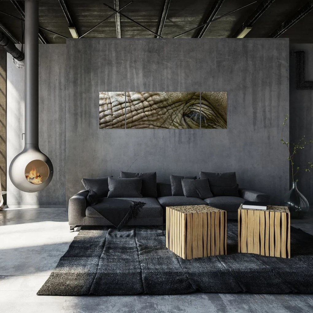 Obraz - Zbliżenie na stare oko słonia (170x50 cm)