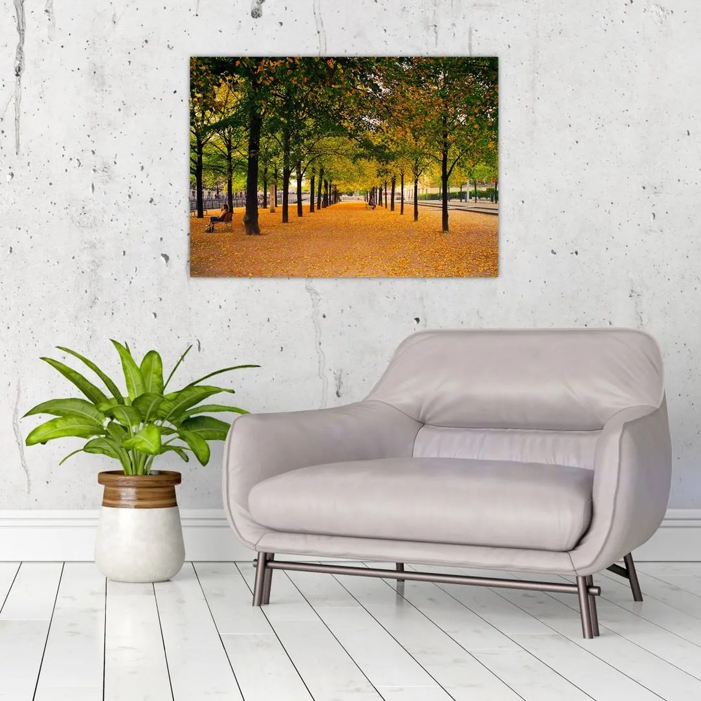 Obraz na szkle - aleja jesiennych drzew (70x50 cm)