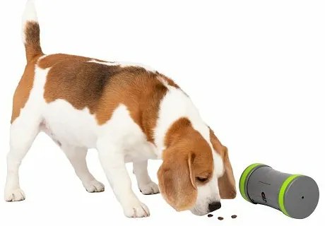 PetSafe® Kibble Chase™ Elektroniczna zabawka dlapsów