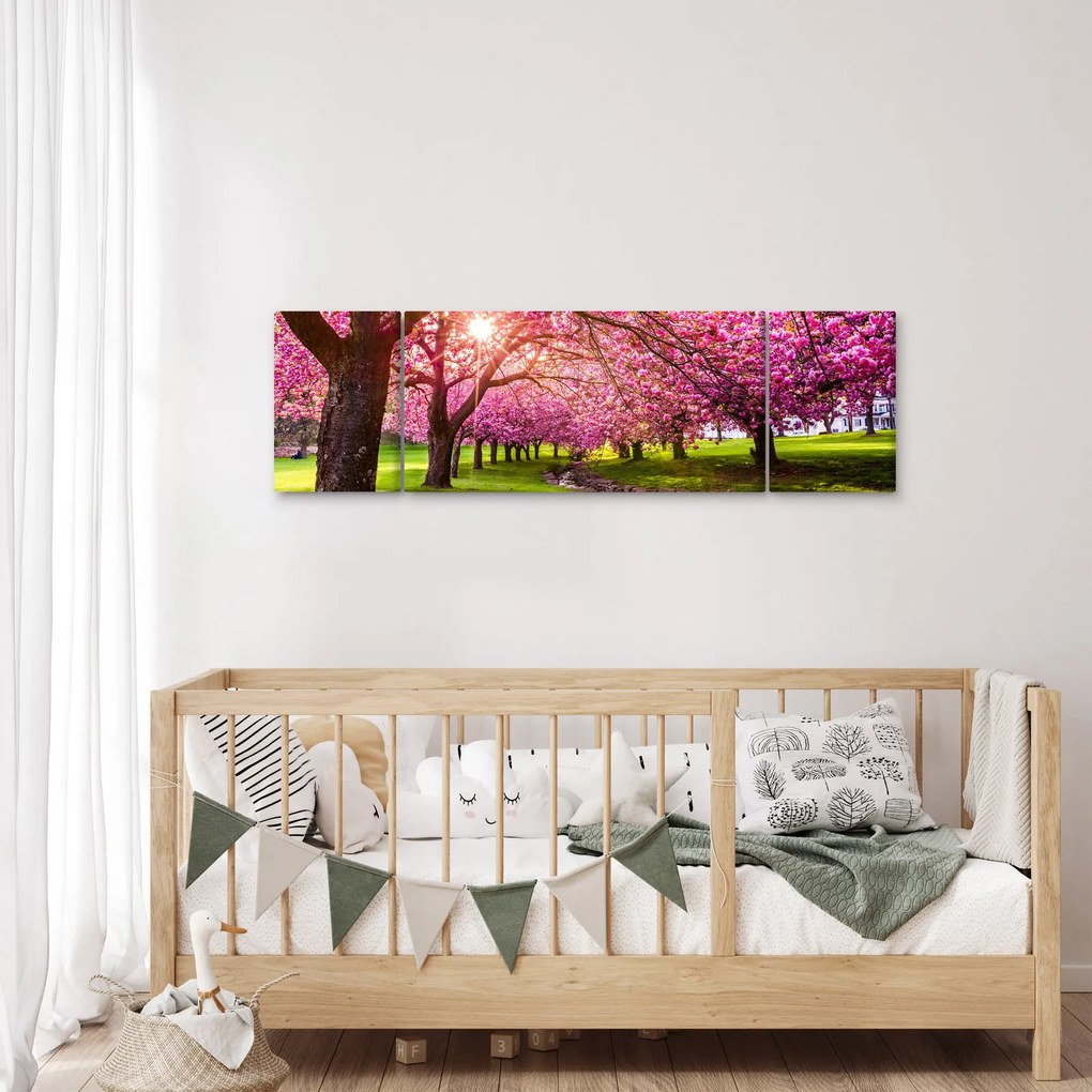 Obraz kwitnących czereśni, Hurd Park, Dover, New Jersey (170x50 cm)