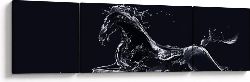 Obraz - Koń i woda (170x50 cm)