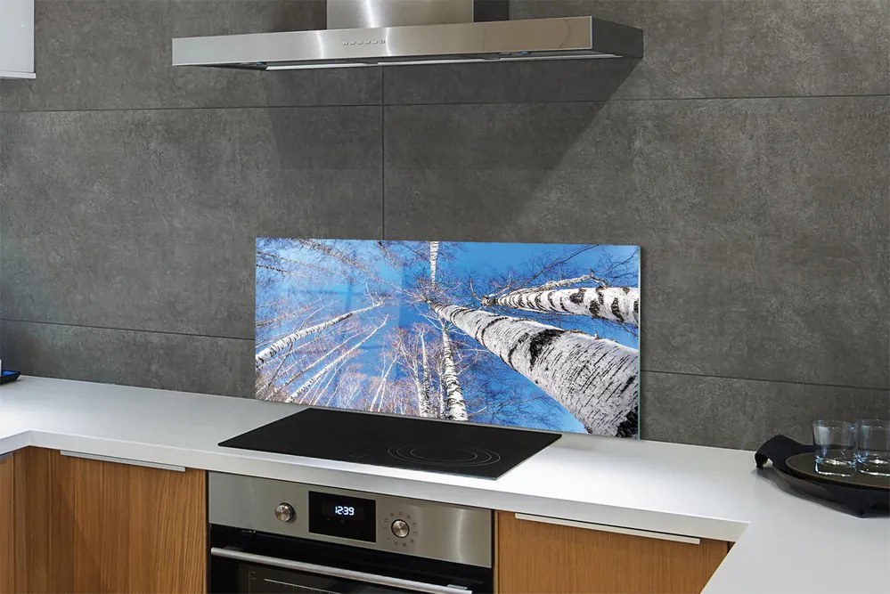 Szklany Panel Brzozowe Korony i Błękit Nieba